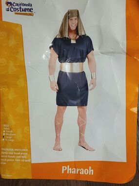 California Costumes Pharaoh Costume - Black and Gold Kids Tunic Set
